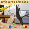 Eerrhhaq Eerrhhaq Cat Toy Balls with Launchers Set,2 Cat Toy