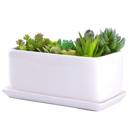 VanEnjoy 10 Inch White Rectangle Ceramic Succulent Planter Pot Decorative Cactus Plant Pot Flower Container with Ceramic Tray