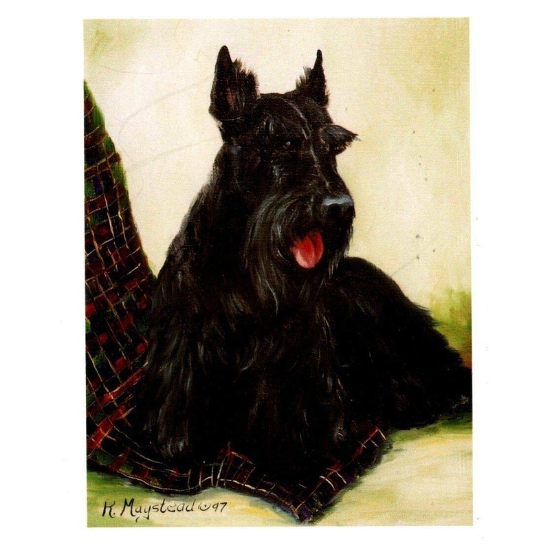 Ruth Maystead Scottish Terrier and Plaid Throw 12 Notecards &