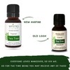 Generic Rosemary Essential Oil for Hair Growth, Face, Aromatherapy -