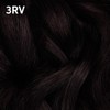 COLORCHARM Permanent Liquid Hair Color for Gray Coverage| 3RV Black