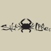 Salt Life Decal - 12" Medium Surface Mount Sticker -