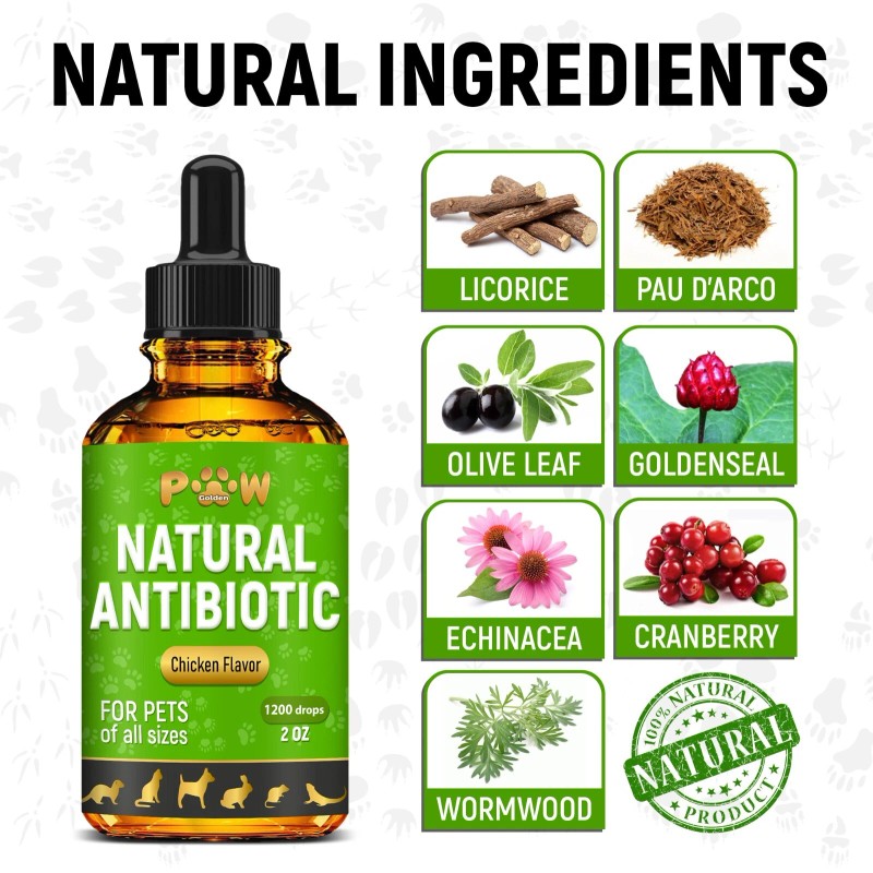 Golden Paw Dog Antibiotics with Chicken Flavor | Сat Antibiotics