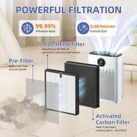 Pulluty HAP603 Replacement Filter for ECOSELF HAP603 Air Purifier,3-in-1 H13 True HEPA High-Efficiency Activated Carbon Filter,4 Pack