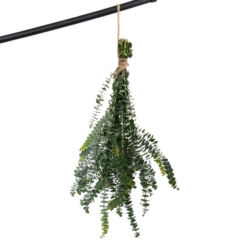 De La Terre Fresh Scented Baby Eucalyptus Pulverulenta Bunch for