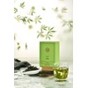 Hezuo Golden Green Tea Loose Leaf - Refreshing & Aromatic