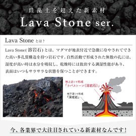 &NE NEO-391S-RDMB LavaStone Soft Print Red Marble LavaStone Coaster Diameter 3.5 inches (9 cm) x Thickness 0.1 inches (0.4 cm) Water Absorption Coaster Lava Stone, Non-Asbestos, Quick Drying, Round