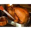 HIC Kitchen Roasting Heat Resistant Turkey Baster with Injector Needle,