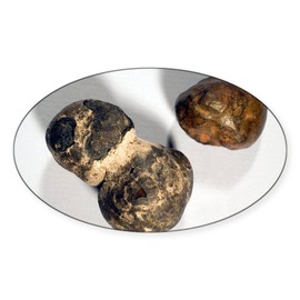 CafePress Manganese Nodules Oval Car Bumper Sticker(10-Pack)