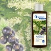 Spitzner Sauna Infusion Wellness Elderberry Cassis (190 ml) Concentrate