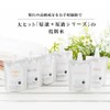 Natural Human Shaped Ceramide Lotion (Happy Lotion PHC) 3.4 fl