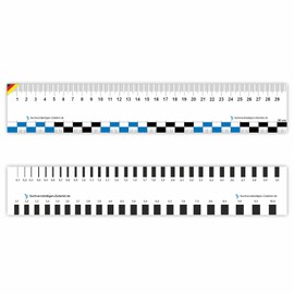 Sachverständigen-Accessoires® Crack Monitor as Flexible Crack Card, Set of 2, 30 cm, Measuring Gauge, Gap Size, Crack Ruler, Crack Width Ruler, Crack Ruler, Crack Card, Expert
