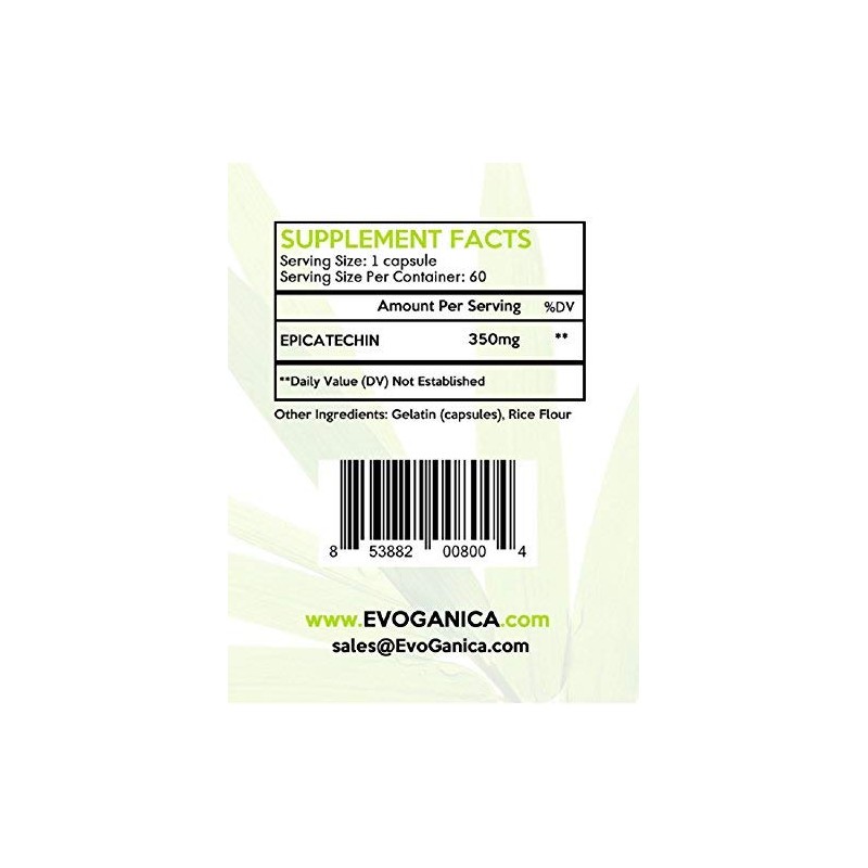 EPICATECHIN (350mg x 60ct) by EVOGANICA