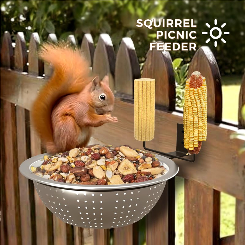 2 Pack 8.5" Squirrel and Bird Feeder for Outside Tree/Fence,