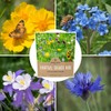 Wildflower Seeds Partial Shade Mix - 1 Ounce Over 7,000