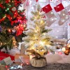 Pre-lit Snowy Mini Christmas Tree, Small Tabletop Flocked Christmas Tree