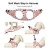 Mercano Soft Mesh Dog Harness and Leash Set, No-Chock Step-in