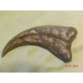 NEW Deinonychus Jurassic park unrestored velociraptor claw replica 7in brown