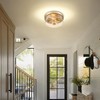 Luminzone Gold Flush Mount Ceiling Light, 2-Light Hallway Light Fixtures,