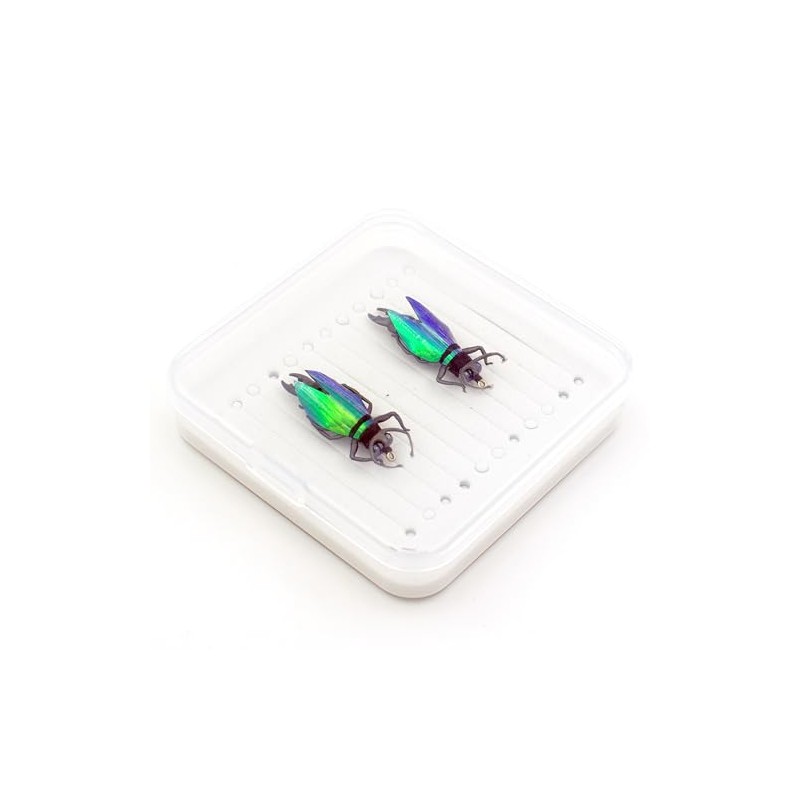YAZHIDA Fly Fishing Flies, Simulated Insects (Winged Beetle)