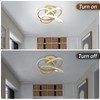 CANEOE Gold Led Hallway Light, 6000K Modern Led Ceiling Light