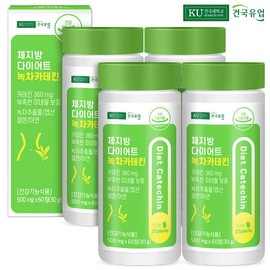 Konkuk Dairy [Konkuk Dairy] Body Fat Diet Green Tea Catechin 60 Tablets x 4 Packs (4 Months) / [건국유업] 체지방 다이어트 녹차카테킨 60정x4개(4개월)