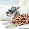 PUPTECK Soft Fleece Dog Pajamas for Small Medium Dogs, Adorable