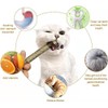 Brown Silvervine Sticks for Cats,Natural Catnip Chew,Matatabi Dental Care,Cat Dental,Cat