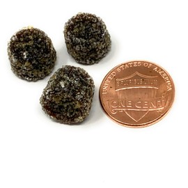 Italgum, Italian Liquorice w/ Bee Pollen Mini Firm Gum Drop (Propolis) (2.200 Lbs)