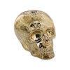 Glass Skull Tealight Holder Gold