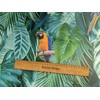 Karina Home Parrot Rainforest Teal PVC Tablecloth, Wipe Clean Oilcloth,