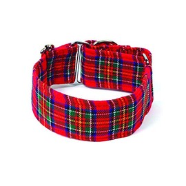 Galguita Amelie. 5cm Medium (30-39cm) Scottish Collar
