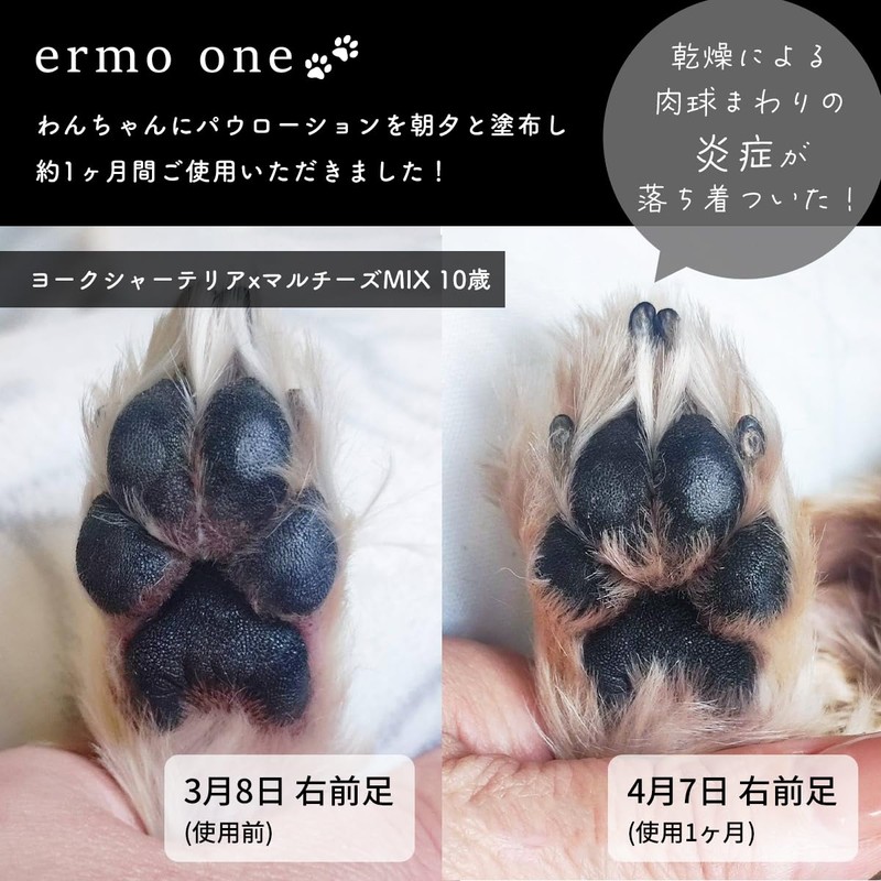 ermo one Paw Moisturizing Lotion, 2.8 fl oz (80 ml),