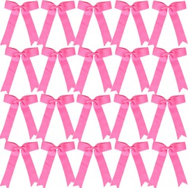 Hipcheer 20pcs Collegiate Style Cheer Bows for Girls, Long Tail Skinny Cheer Bow Ponytail Holder Handmade Bows for Girls Teens Softball Cheerleader Sports (Hot Pink)