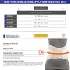 CHAMPION Industrial Belt Back Brace Abdominal Support Shoulder Straps, Black