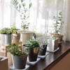 LNQ LUNIQI 10 Pcs 6 Inches Square Plastic Plant Saucer