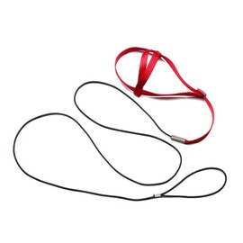 Pet Parrot Bird Harness and Leash, Adjustable Outdoor Flying Traction Straps Band Adjustable Anti-Bite Training Rope(L)