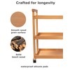 DJAR Rolling Art Supplies Cart, Solid Beech Wood Art Supply