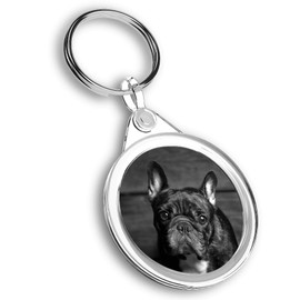 1 x Photo Keyring - French Bulldog Puppy Dog |Keychain|Keyring|Charm| #38636