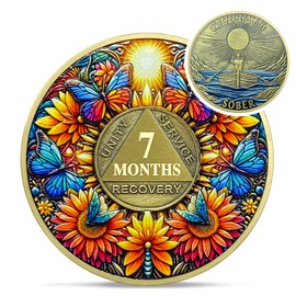 Delicate Sunflower 7 Month Sobriety Coin - One Day at A Time 210 Day AA Sobriety Chip - Recovery Butterfly NA AA Chips and Medallions - 1-40 Years Living Clean Alcoholics Anonymous Gifts for Men Women