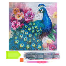 Ideen mit Herz Diamond Painting Canvas on Stretcher Frame | 30 cm x 30 cm | Set Including Tools (Peacock)