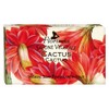 Florinda Autumn Air Cactus Vegetal Soap Bar 100 G 3.5