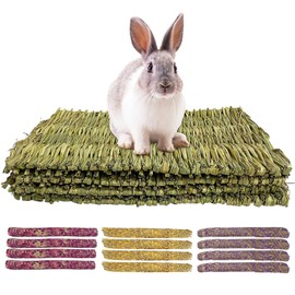 HTRTRR 4 Pieces Hand Woven Rabbit Grass Mat, Natural Edible Chew Toy, Natural Fabric Mat, Small Animal Clay Sticks for Rabbits, Guinea Pigs, Hamsters