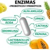 Enzimas Digestivas + Probióticos | Contiene 7 Enzimas Digestivas +