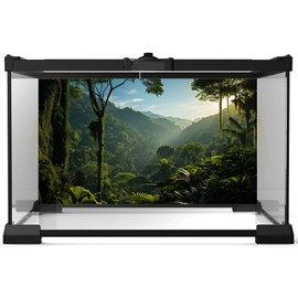 Tropical Aquarium Background Rainforest Jungle Style Terrarium Backdrop Blue Sky Forest Lush Tropical Plants Sunlight Fish Tank Background Reptile Habitat Backdrop Decor Vinyl 48x18in