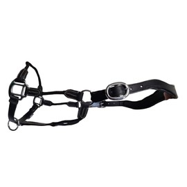 Cwell Equine Deluxe Black Leather and Rope Hybrid Padded Halter FULL/COB/PONY (BLACK PONY)