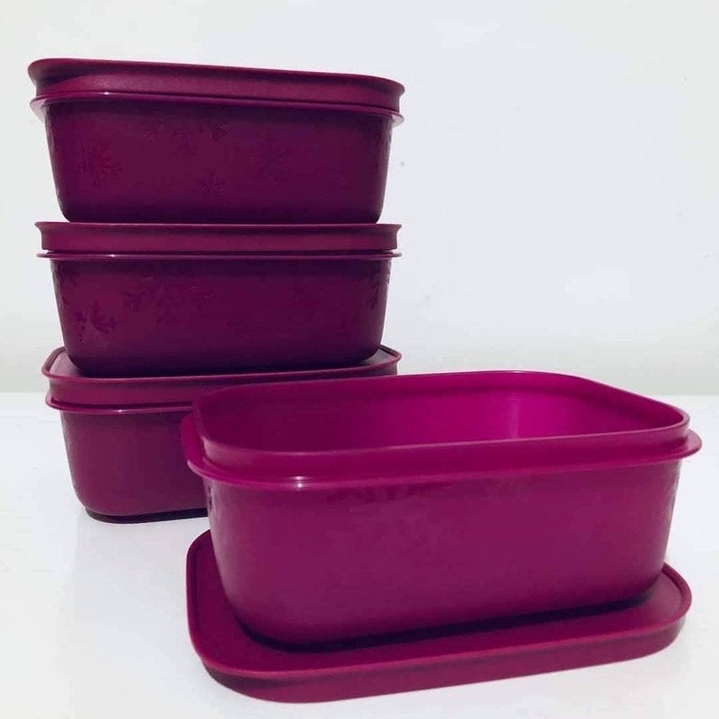 Tupperware freezer storage 2 x 450ml / 1.9 cup