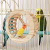 Bird Running Wheel, Spinner Running Wheels for Bird, Chew Beak