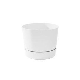 Root & Vessel Majestic Mid-Century Modern Low Profile Cylinder Pot, Matte White, 8.5"