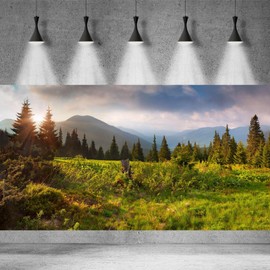 Spring Natural Scenery Background Mountains Trees Green Grass Jungle Photography Backdrop Sunshine Pine Tree Photography Background for Adults Portraits Photo Studio Decor 20x10ft